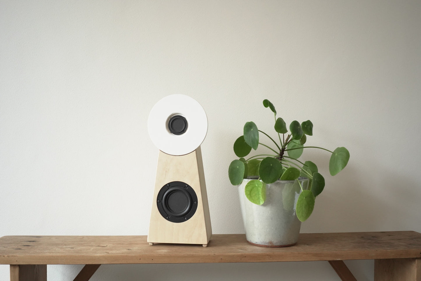 KIKUNO i speakers